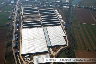 總投資6億元！江蘇綠港又一現代化設施農業園即將建成運營，助力旅游高質量發展